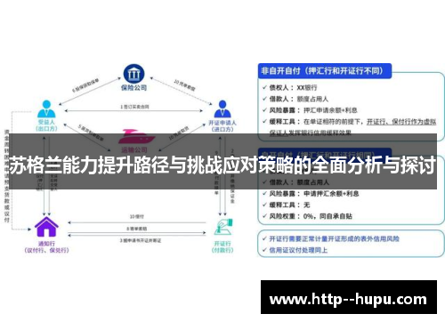 苏格兰能力提升路径与挑战应对策略的全面分析与探讨