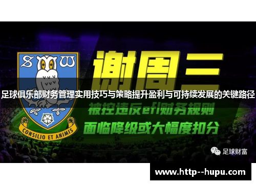 足球俱乐部财务管理实用技巧与策略提升盈利与可持续发展的关键路径 足球俱乐部财务管理实用技巧与策略提升盈利与可持续发展的关键路径